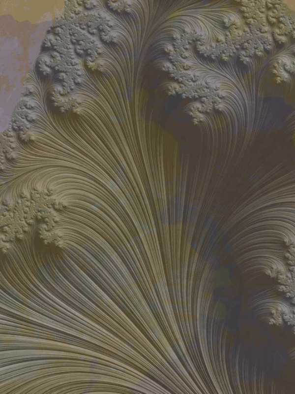Fractal #166 static token preview