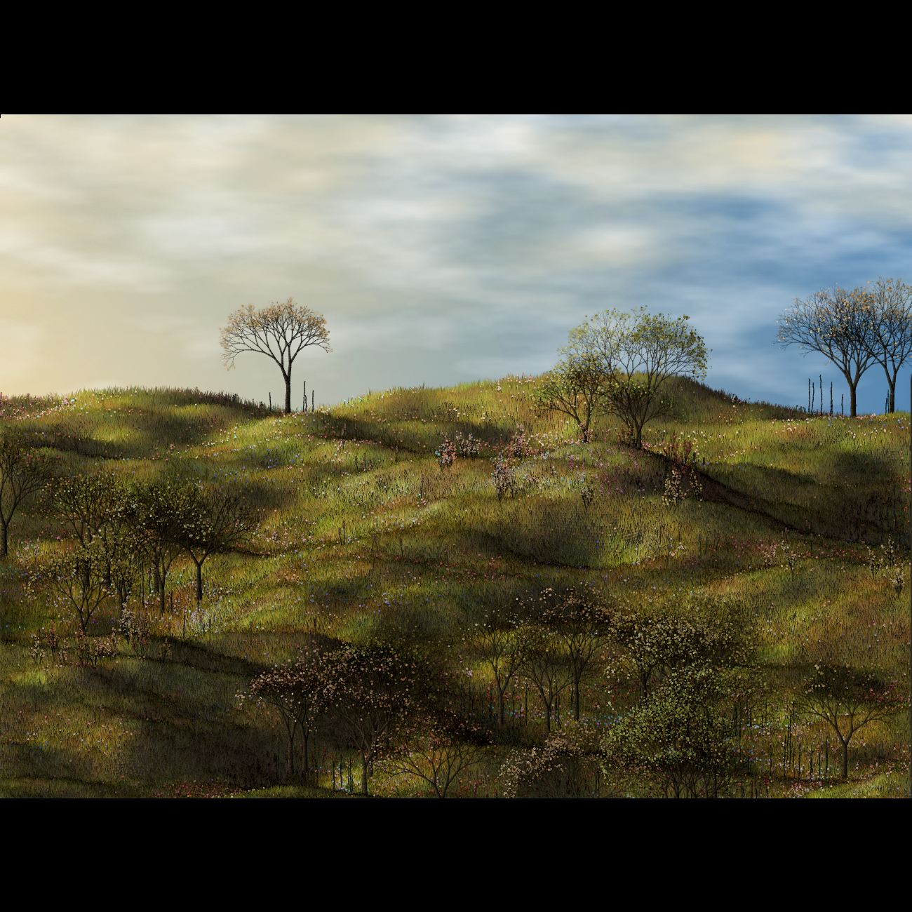 Mediterranean #39 static NFT preview
