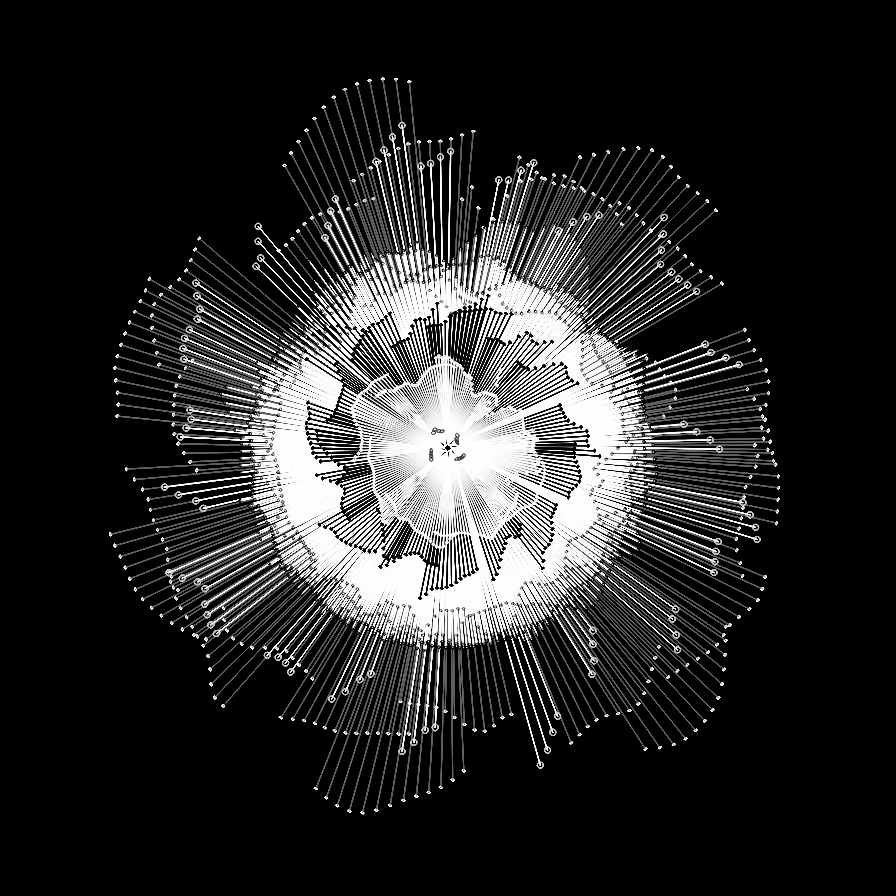 Camellia #29 static token preview