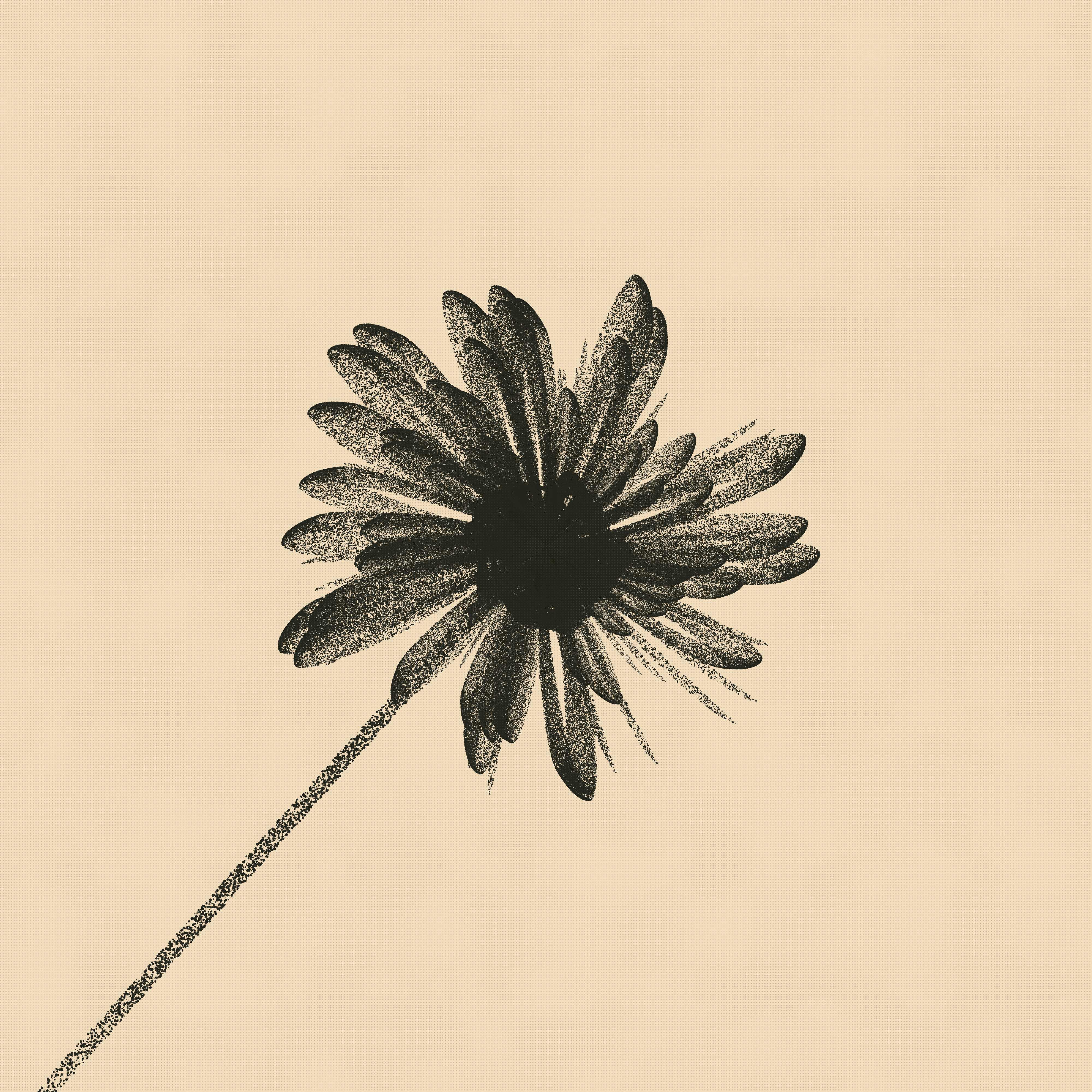 flos #49 static NFT preview