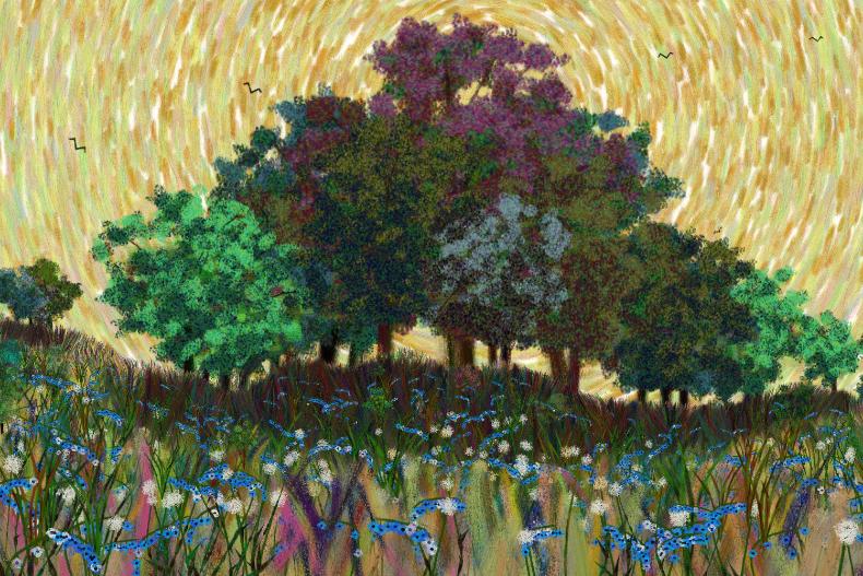 Flowers and Sky #124 static NFT preview