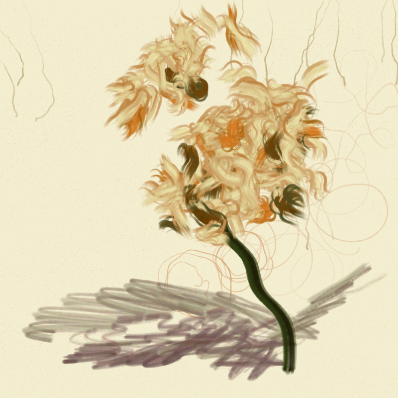 The Likeness of a Flower #30 static NFT preview