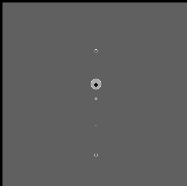 c i r c u l a r #48 static token preview