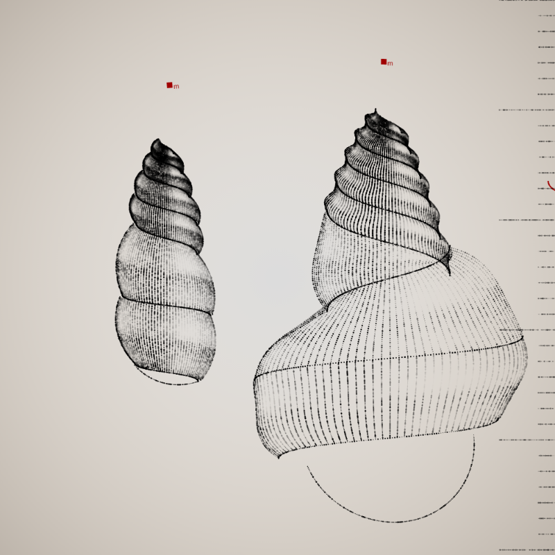 Two Specimen #107 static NFT preview