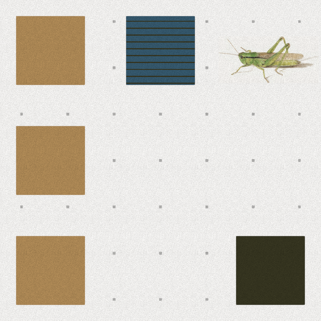 Grasshopper #16 static token preview