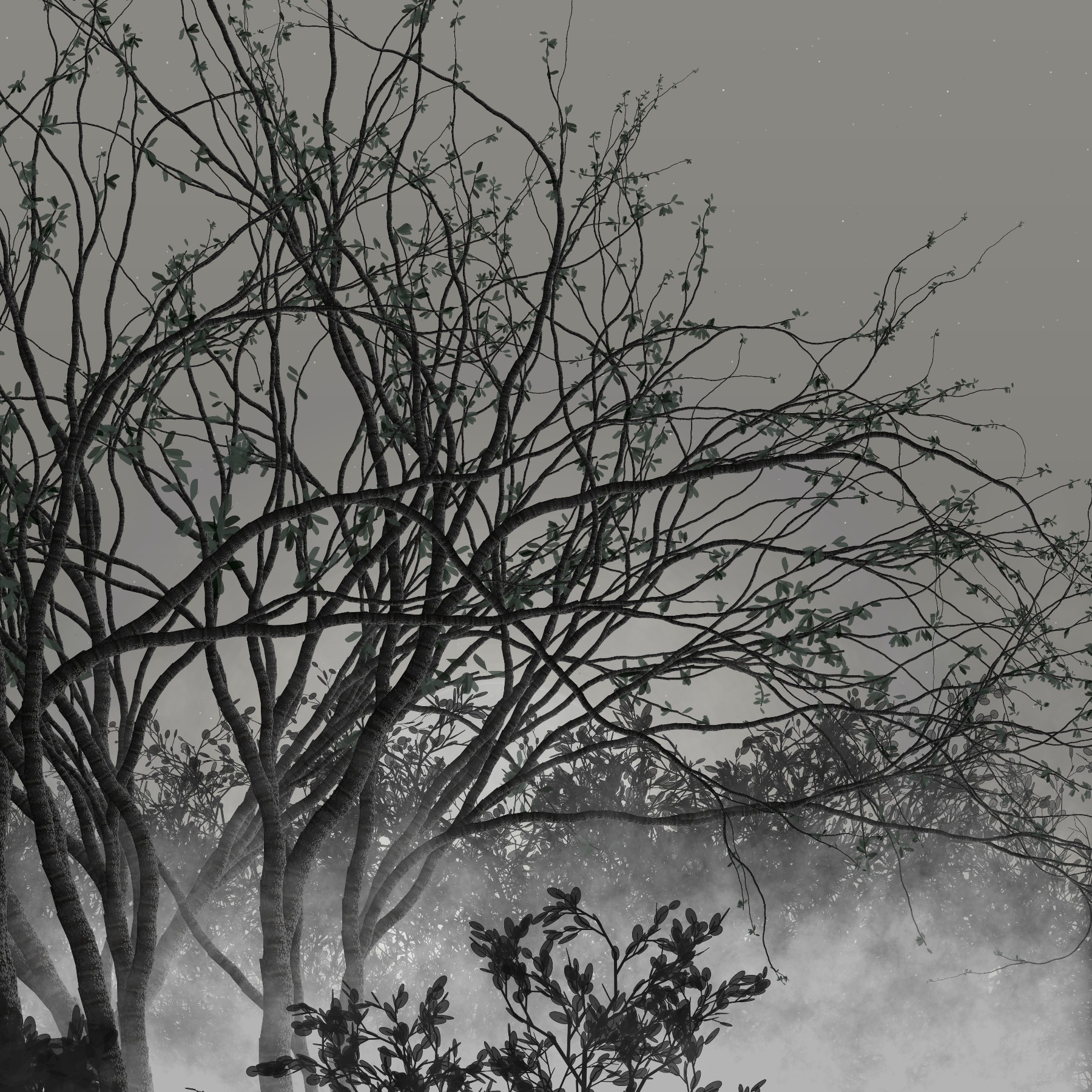 Morning Mist #179 static token preview