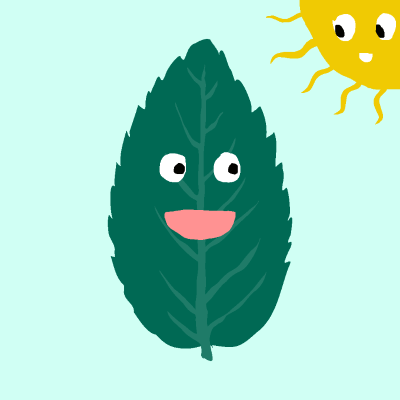 FREE MINT ! #31 static NFT preview