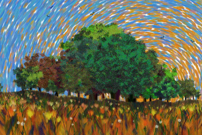 Flowers and Sky #262 static NFT preview