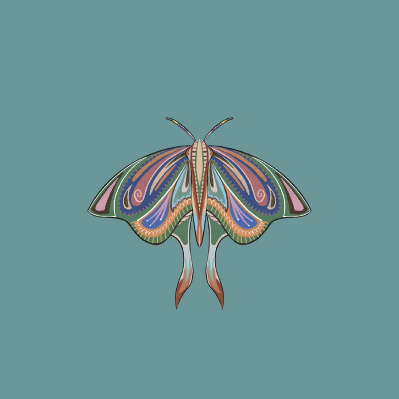 The Moth Experiment 2.0 P2 #17 static token preview