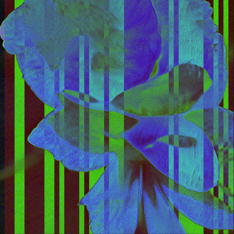 CLDCSMC #148 static NFT preview