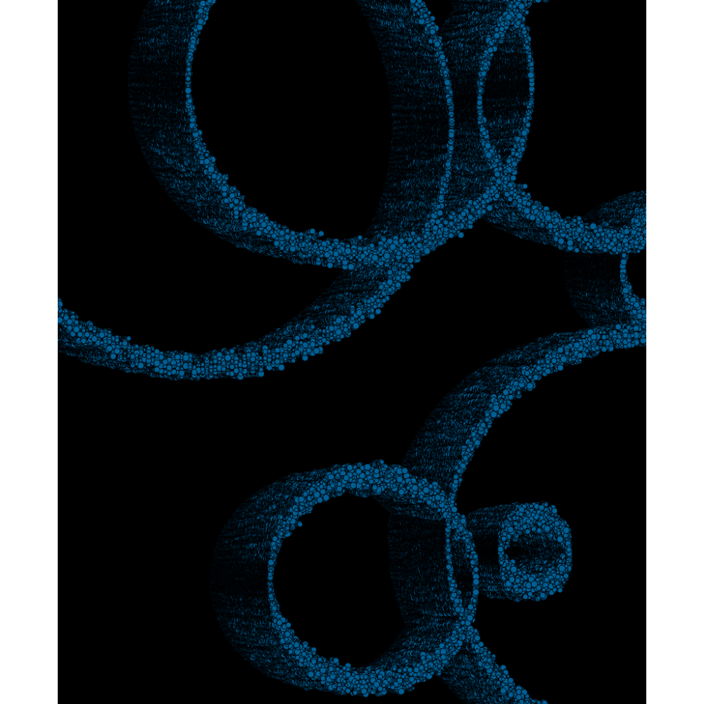 Rings #5 static token preview
