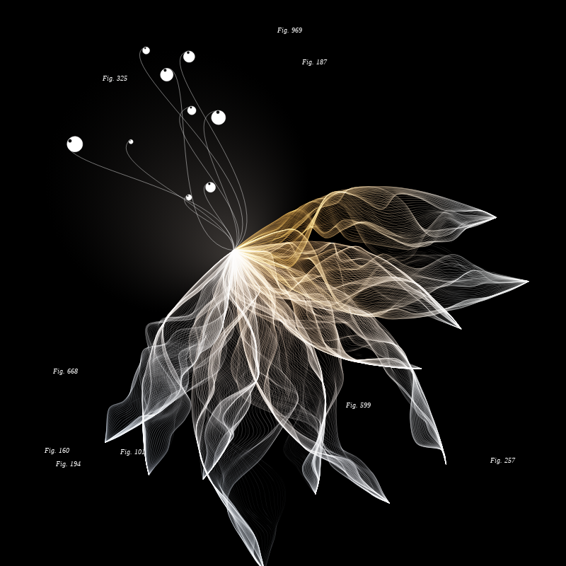 Herbarium #654 static token preview