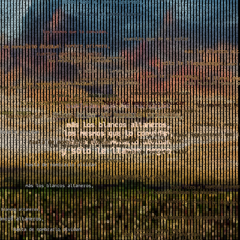 A hacker in the Pampas #84 static NFT preview