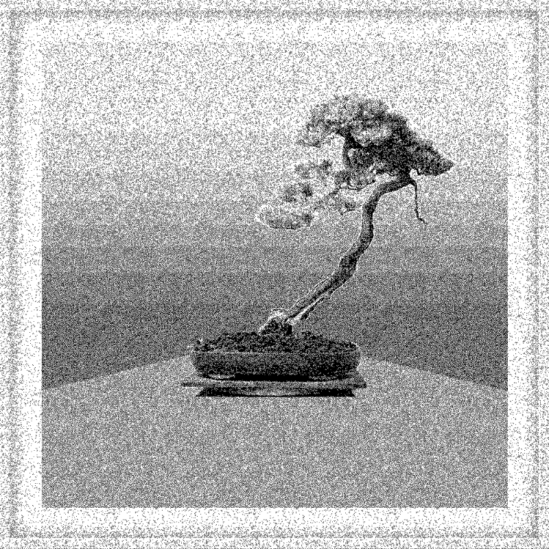 Bonsai Bonanza #134 static token preview