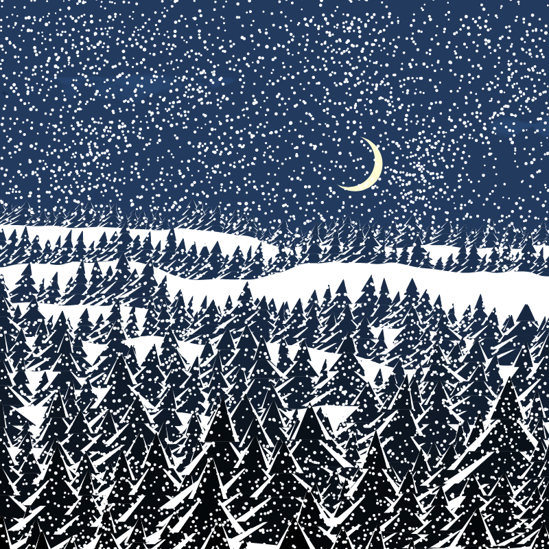 Winterland #204 static token preview