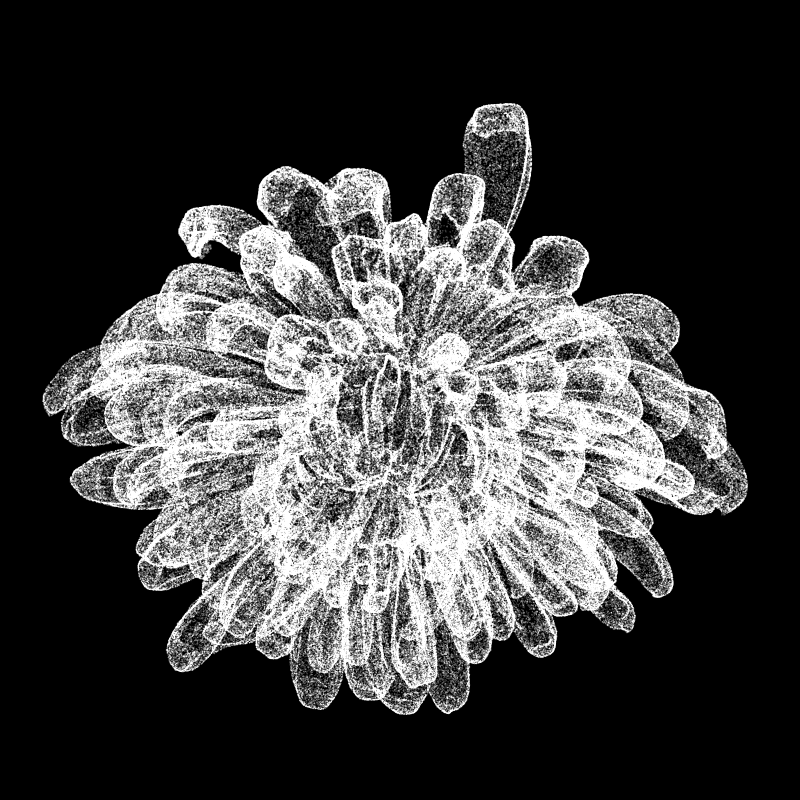 Chrysanthemum Morifolium 30 #49 static token preview