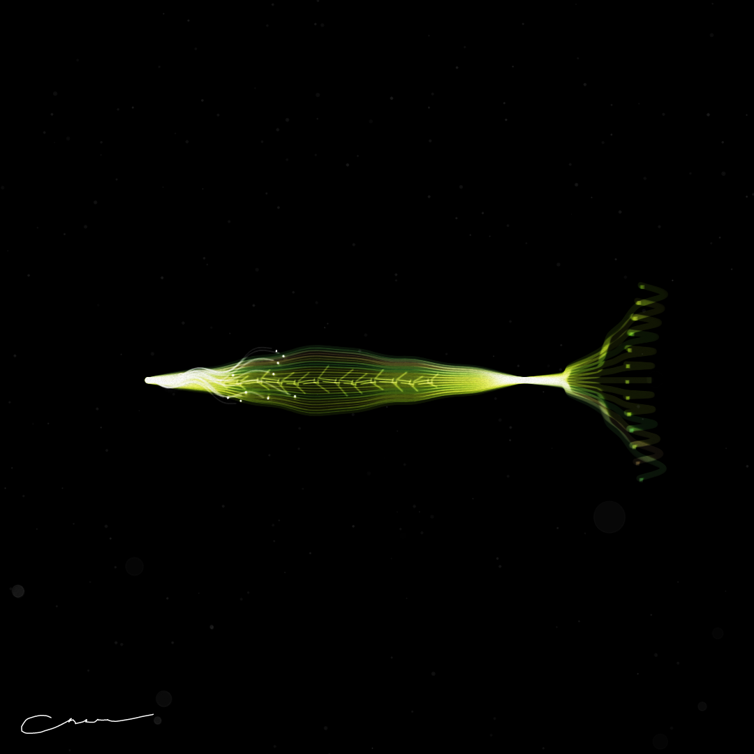 SoulFish #263 static token preview