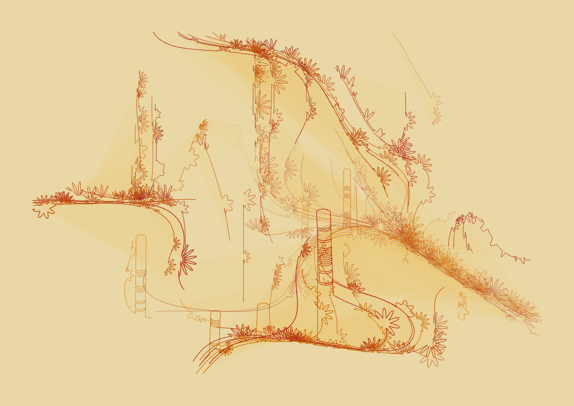 One hundred views of a curve #44 static NFT preview