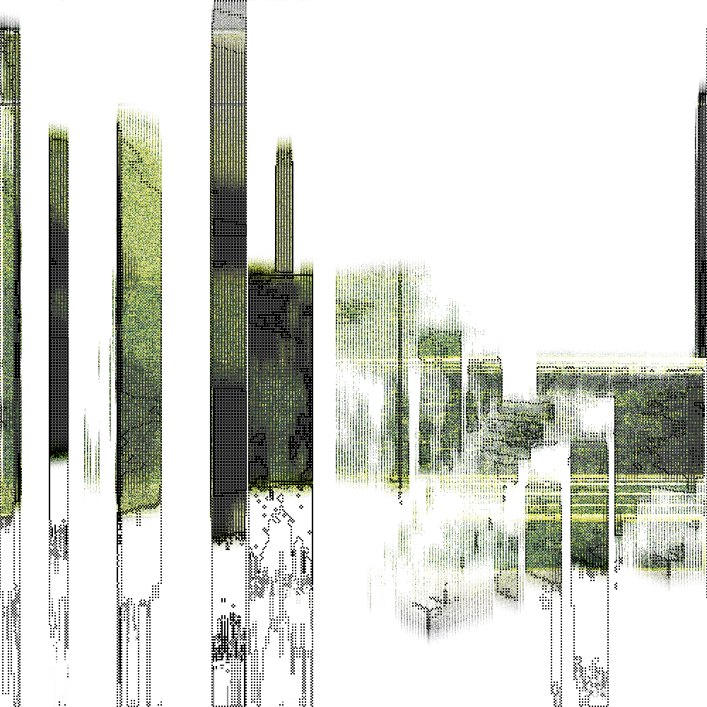 Polako #53 static NFT preview