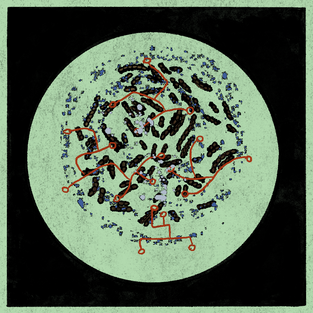 Microbes #102 static token preview