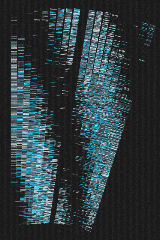 Sequence #359 static token preview