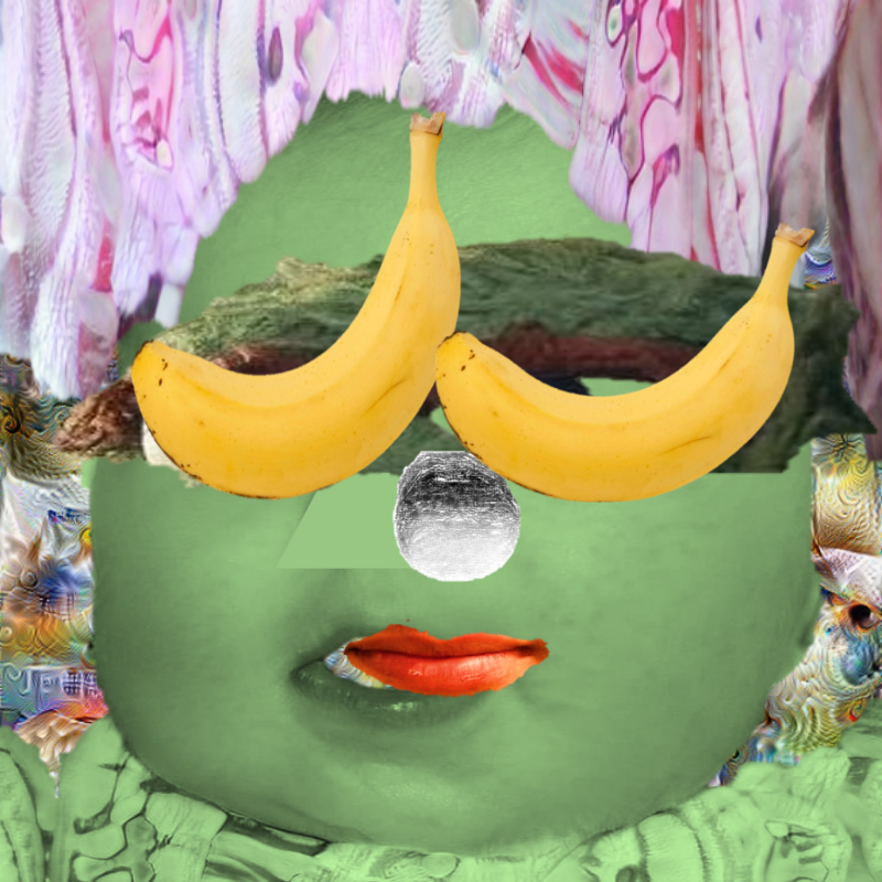 A collage of collages #255 static NFT preview