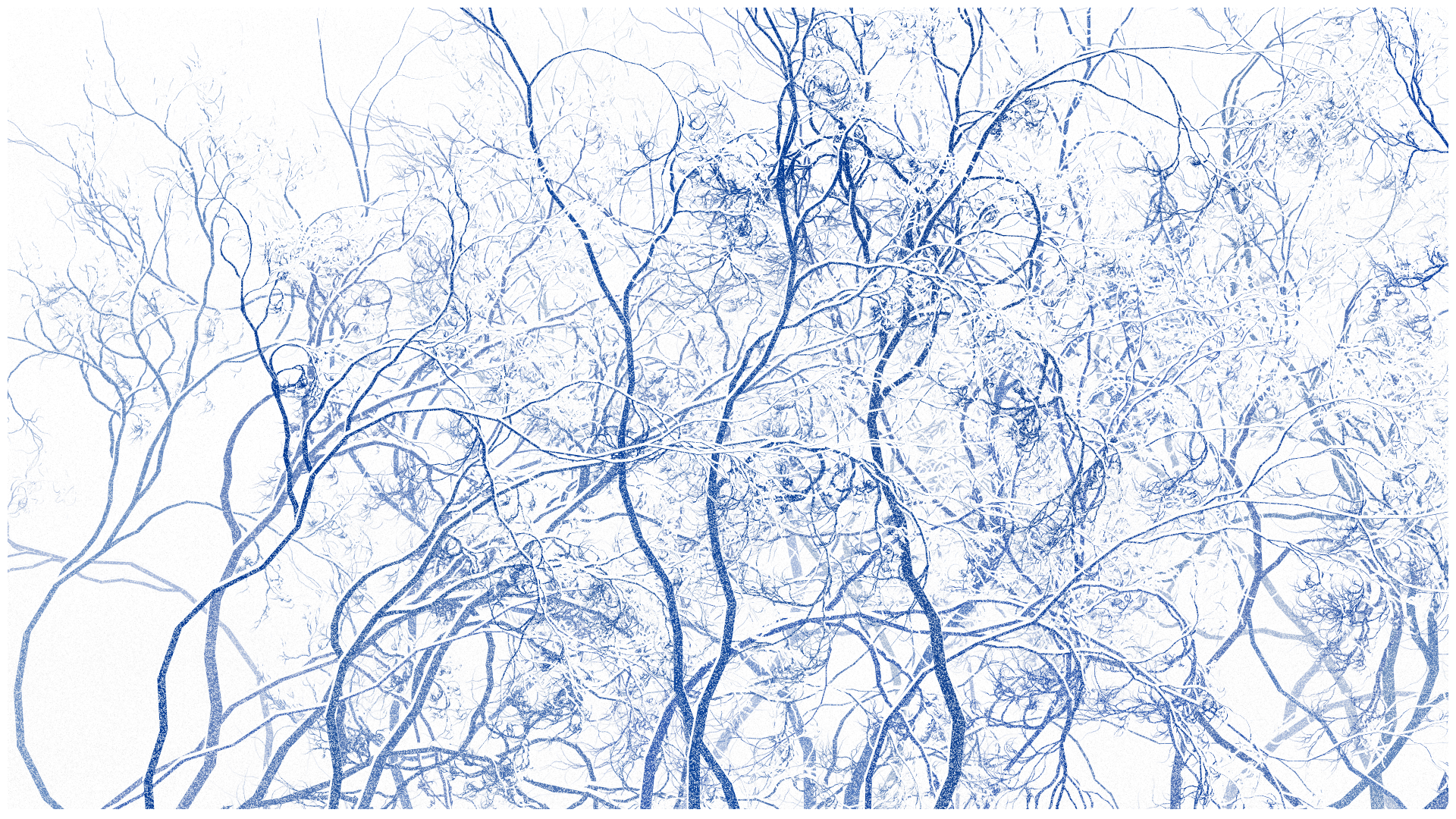 SCHNEEWALD #149 static NFT preview