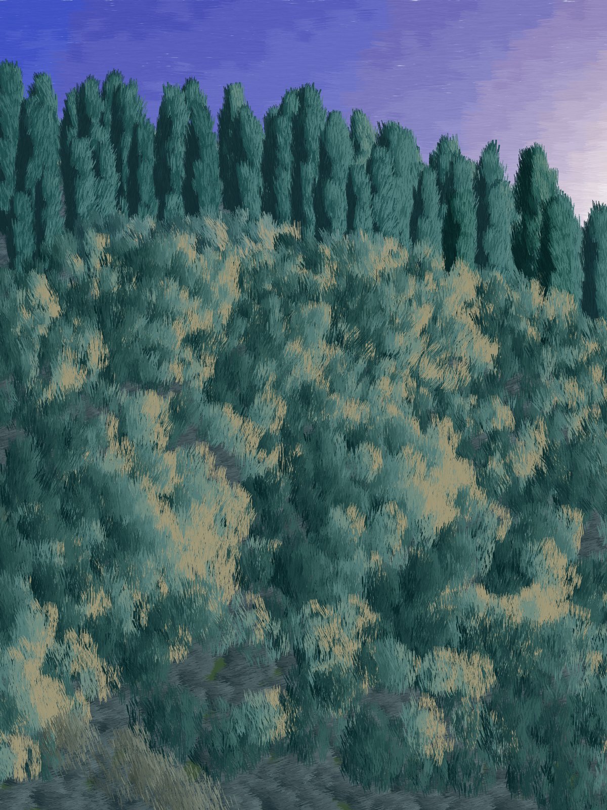Provence #300 static NFT preview