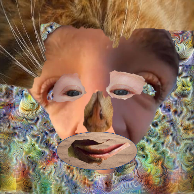 A collage of collages #567 static token preview