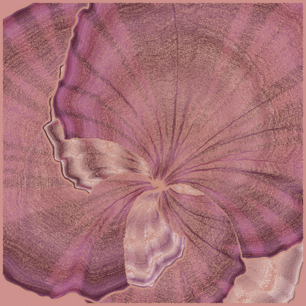 Padina #184 static NFT preview