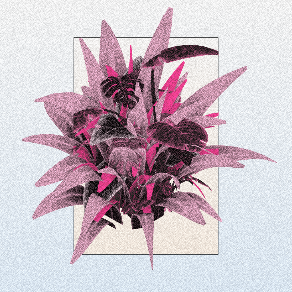 Botany #205 static token preview