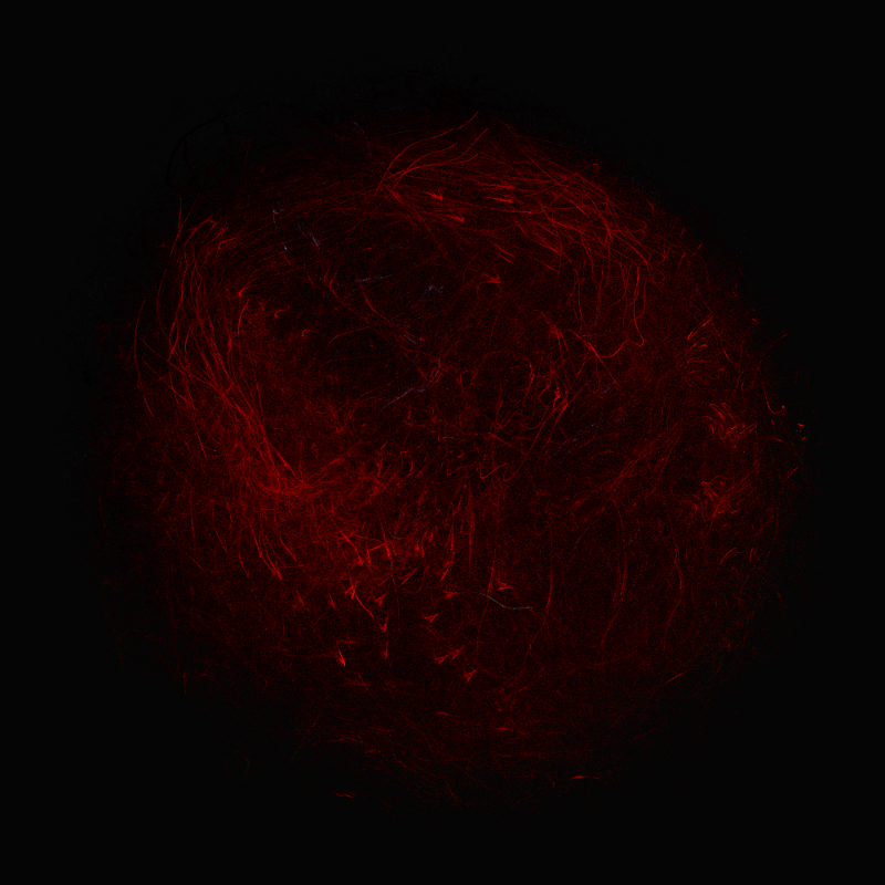 balls in vector fields #36 static token preview