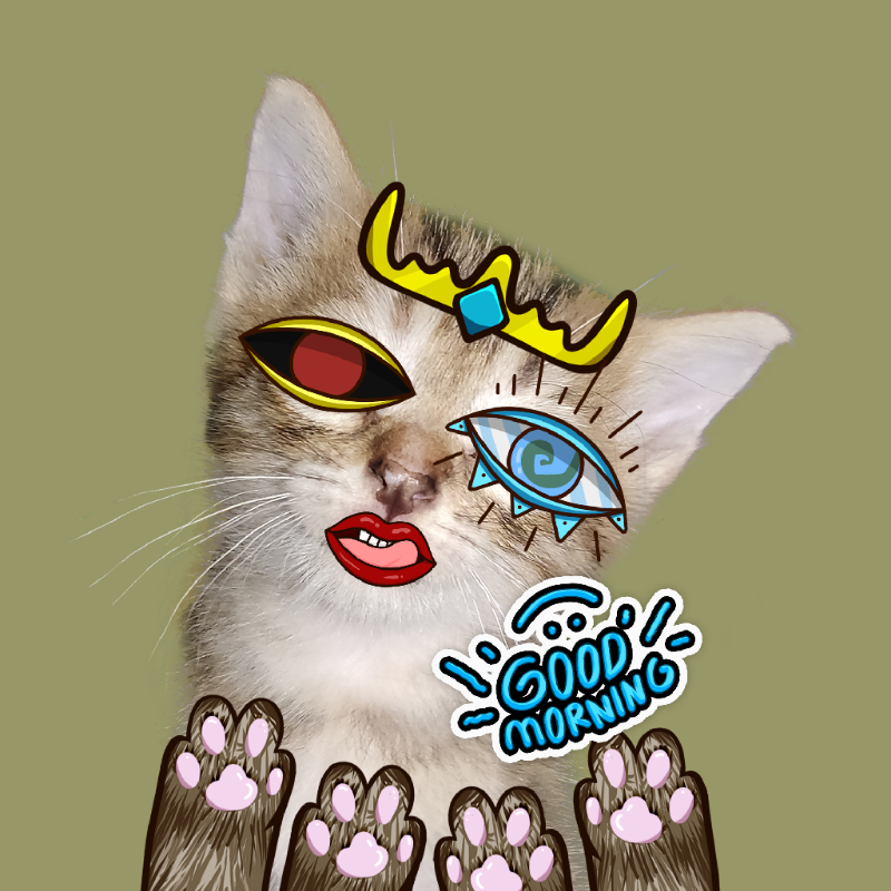 Fortune Kitty NFT #6 static token preview