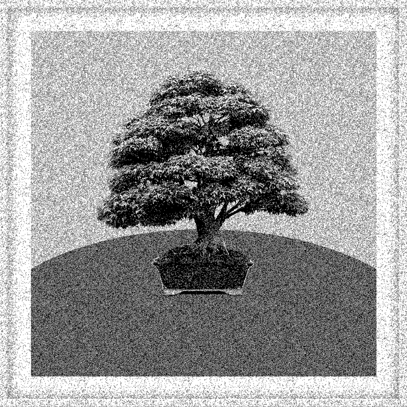 Bonsai Bonanza #443 static token preview