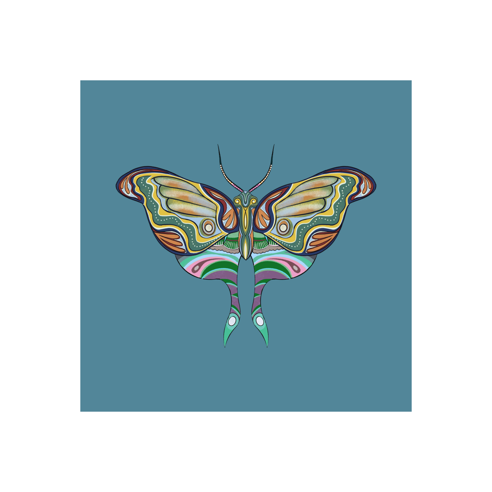 The Moth Experiment #4 static token preview