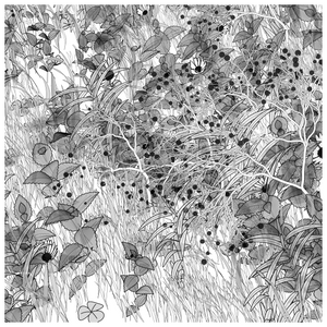 Garden, Monoliths #14 static NFT preview