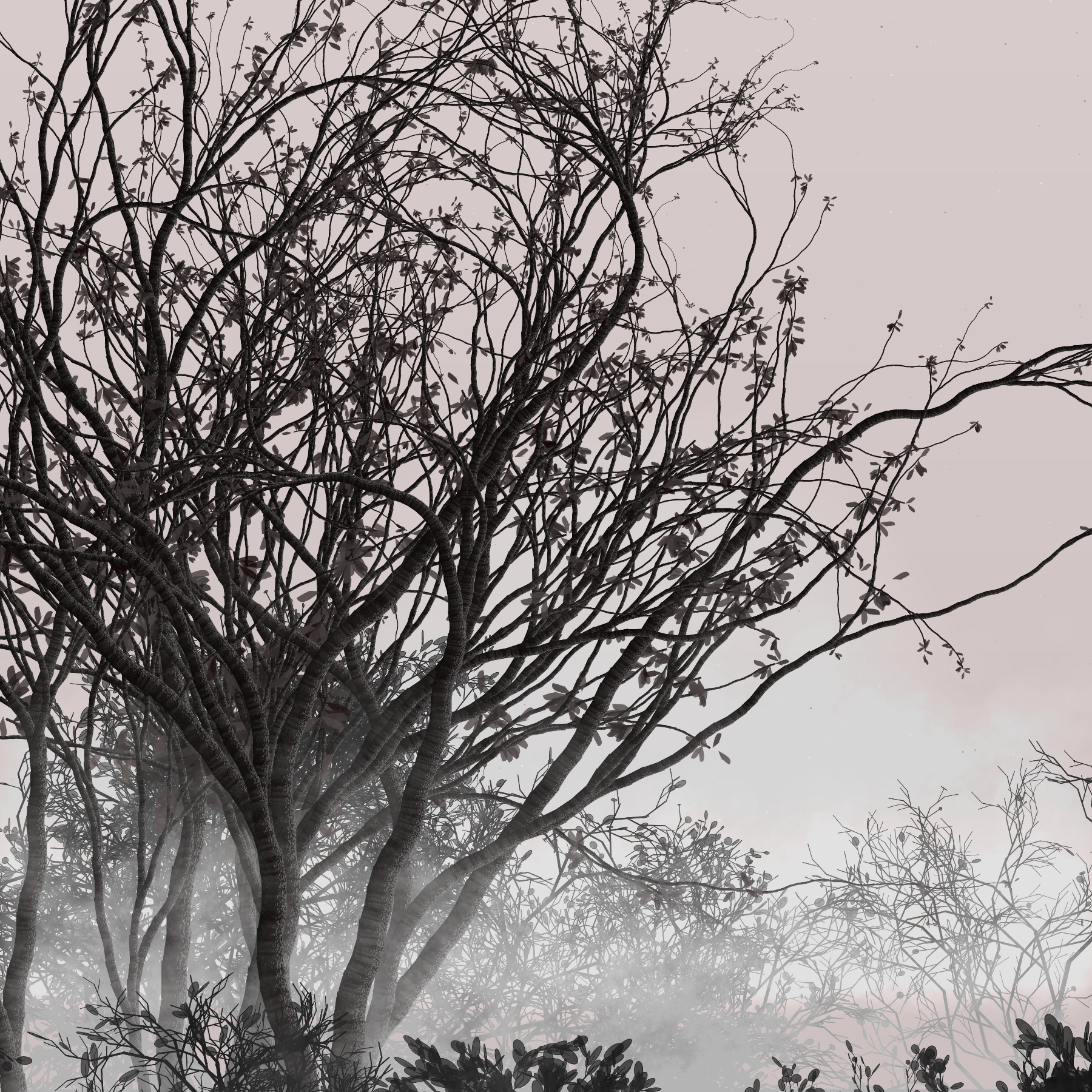 Morning Mist #3 static token preview