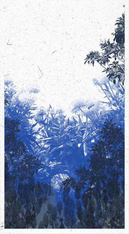Life in the forest! #85 static NFT preview