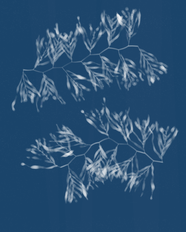 Cyanotypes #40 static NFT preview